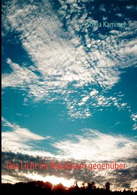 Das Licht im Nussbaum gegenuber (Paperback)