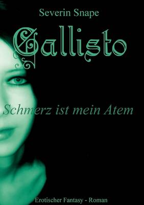 Callisto (Paperback)