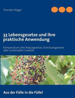 33 Lebensgesetze und ihre praktische Anwendung: Kompendium aller Naturgesetze, Schicksalsgesetze oder universellen Gesetze (Paperback)