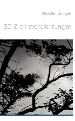 30 Z E I Tverdichtungen (Paperback)