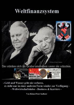 Weltfinanzsystem (Paperback)