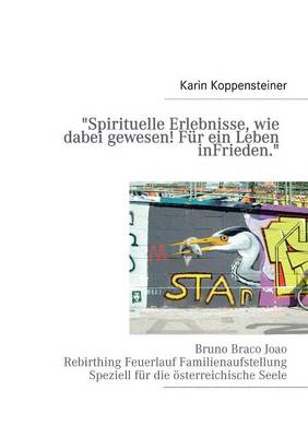 Spirituelle Erlebnisse, Wie Dabei Gewesen! Fur Ein Leben in Frieden. (Paperback)