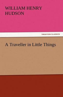 A Traveller in Little Things (Paperback)