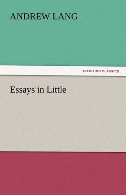Essays in Little (Paperback)
