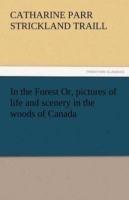 In the Forest Or, Pictures of Life and Scenery in the Woods of Canada (Paperback)