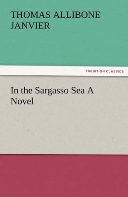 In the Sargasso Sea a Novel (Paperback)