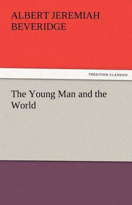The Young Man and the World (Paperback)