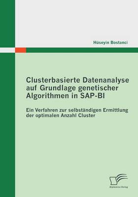 Clusterbasierte Datenanalyse Auf Grundlage Genetischer Algorithmen in SAP-Bi (Paperback)