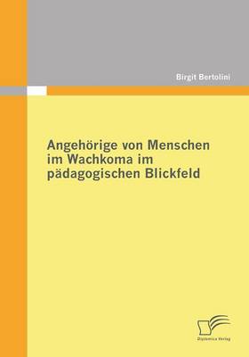 Angehorige Von Menschen Im Wachkoma Im Padagogischen Blickfeld (Paperback)