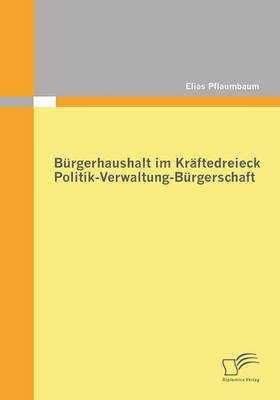 Burgerhaushalt Im Kraftedreieck Politik-Verwaltung-Burgerschaft (Paperback)