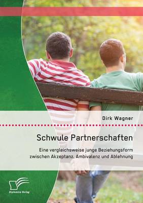 Schwule Partnerschaften: Eine Vergleichsweise Junge Beziehungsform Zwischen Akzeptanz, Ambivalenz Und Ablehnung (Paperback)