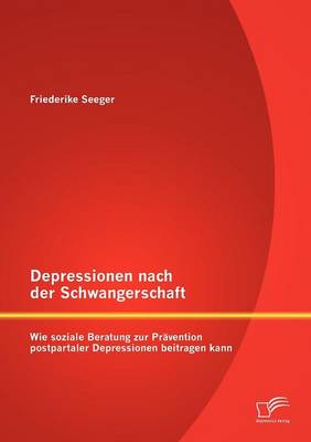 Depressionen Nach Der Schwangerschaft: Wie Soziale Beratung Zur Pravention Postpartaler Depressionen Beitragen Kann (Paperback)