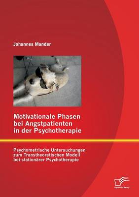 Motivationale Phasen Bei Angstpatienten in Der Psychotherapie: Psychometrische Untersuchungen Zum Transtheoretischen Modell Bei Stationarer Psychother (Paperback)
