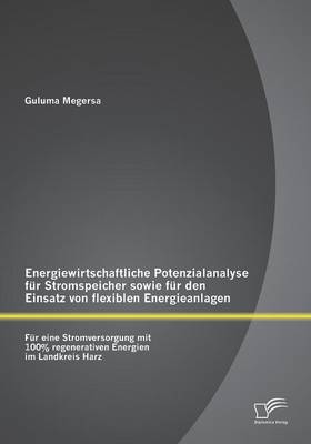 Energiewirtschaftliche Potenzialanalyse Fur Stromspeicher Sowie Fur Den Einsatz Von Flexiblen Energieanlagen: Fur Eine Stromversorgung Mit 100% Regenerativen Energien Im Landkreis Harz (Paperback)
