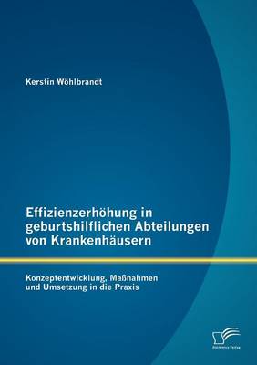 Effizienzerh Hung in Geburtshilflichen Abteilungen Von Krankenh Usern: Konzeptentwicklung, Ma Nahmen Und Umsetzung in Die Praxis (Paperback)