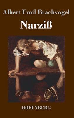 Narzi (Hardback)