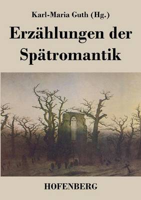 Erzahlungen Der Spatromantik (Paperback)