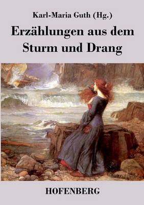 Erzahlungen Aus Dem Sturm Und Drang (Paperback)