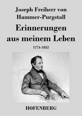 Erinnerungen Aus Meinem Leben (Paperback)