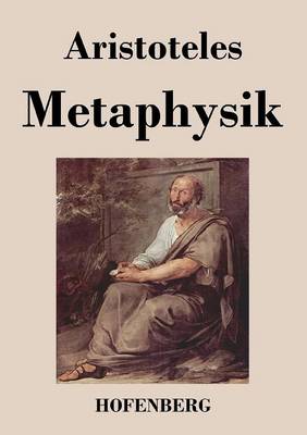 Metaphysik (Paperback)