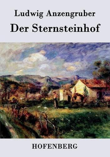 Der Sternsteinhof (Paperback)
