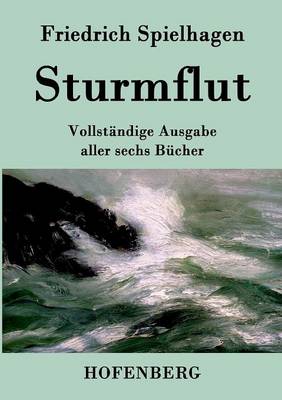 Sturmflut (Paperback)