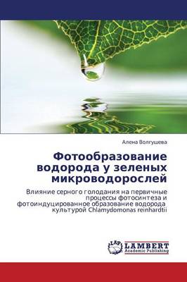 Fotoobrazovanie Vodoroda U Zelenykh Mikrovodorosley (Paperback)