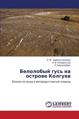 Belolobyy Gus' Na Ostrove Kolguev (Paperback)