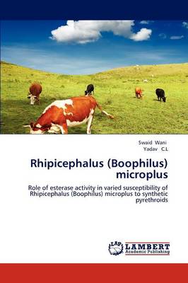 Rhipicephalus (Boophilus) Microplus (Paperback)
