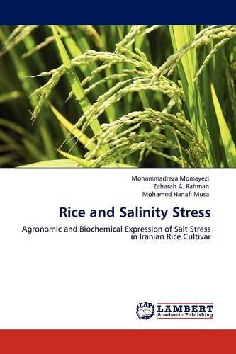 Rice and Salinity Stress (Paperback)
