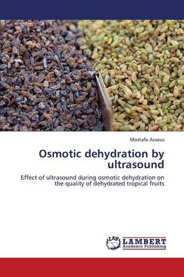 Osmotic Dehydration by Ultrasound (Paperback)