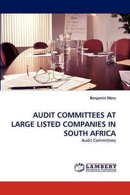 Audit Committees at Large Listed Companies in South Africa (Paperback)