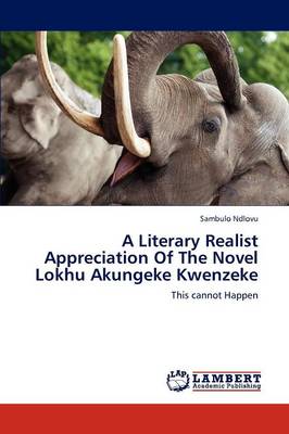 A Literary Realist Appreciation of the Novel Lokhu Akungeke Kwenzeke (Paperback)