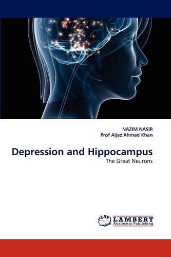 Depression and Hippocampus (Paperback)
