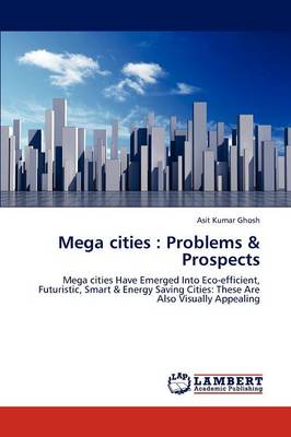 Mega Cities: Problems & Prospects (Paperback)