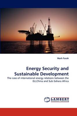 Energy Security and Sustainable Development (Paperback)