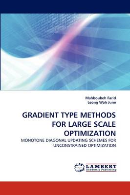 Gradient Type Methods for Large Scale Optimization (Paperback)
