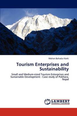 Tourism Enterprises and Sustainability (Paperback)
