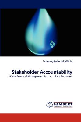 Stakeholder Accountability (Paperback)