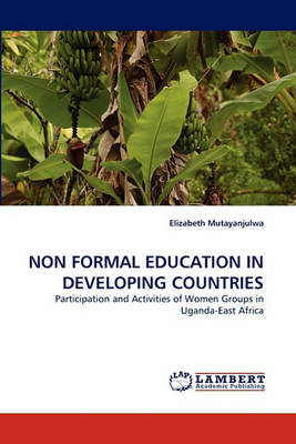 Non Formal Education in Developing Countries (Paperback)