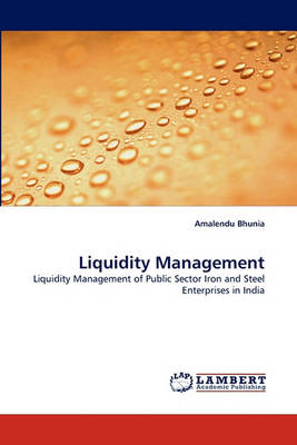 Liquidity Management (Paperback)