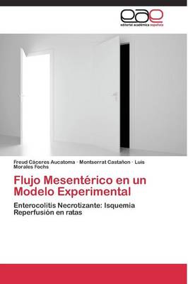 Flujo Mesenterico En Un Modelo Experimental (Paperback)