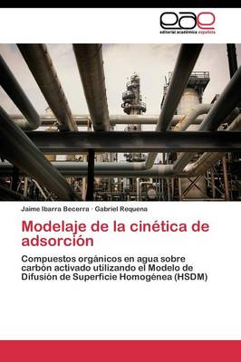 Modelaje de La Cinetica de Adsorcion (Paperback)