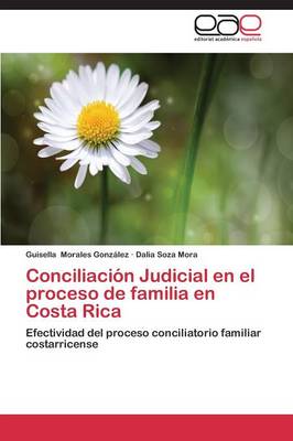 Conciliacion Judicial En El Proceso de Familia En Costa Rica (Paperback)