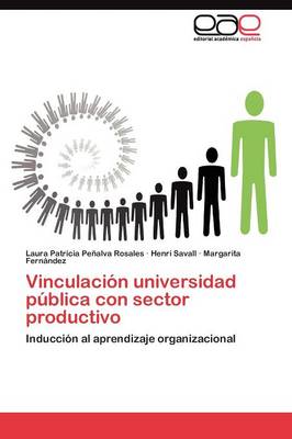 Vinculacion Universidad Publica Con Sector Productivo (Paperback)