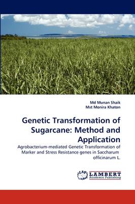 Genetic Transformation of Sugarcane: Method and Application (Paperback)