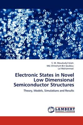 Electronic States in Novel Low Dimensional Semiconductor Structures (Paperback)