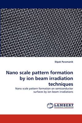 Nano Scale Pattern Formation by Ion Beam Irradiation Techniques (Paperback)