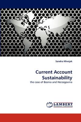 Current Account Sustainability (Paperback)