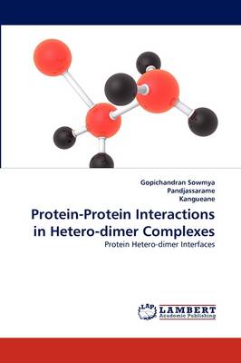 Protein-Protein Interactions in Hetero-Dimer Complexes (Paperback)